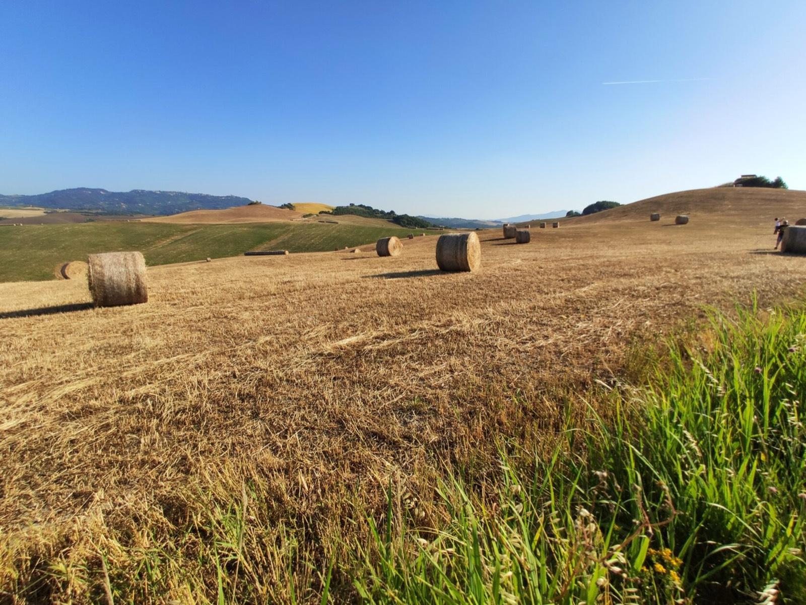 Balle di fieno nelle colline toscane